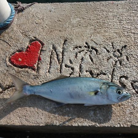 Apartment "I Love Njivice" Herceg Novi Extérieur photo