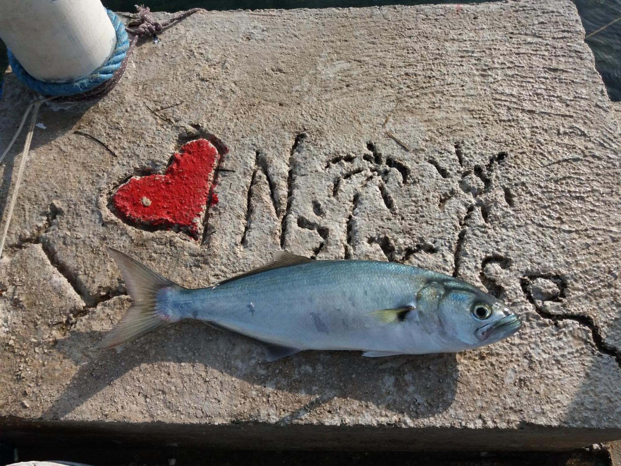 Apartment "I Love Njivice" Herceg Novi Extérieur photo